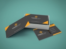 Clean And Simple Business Card Template Screenshot 2